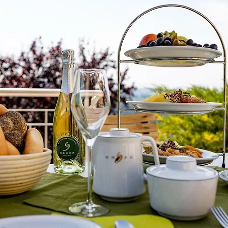 Winzerhaus Skoff Original Apartment